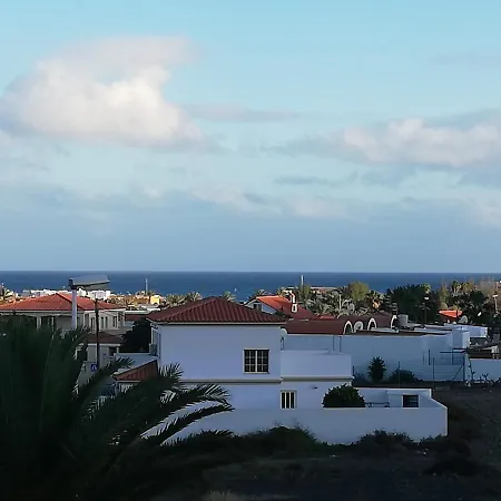 Janeli タラハレホ