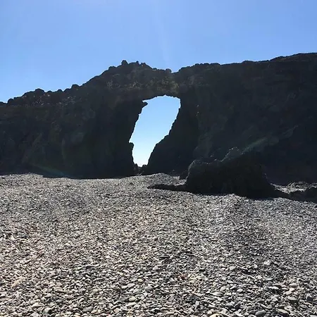 Janeli * タラハレホ